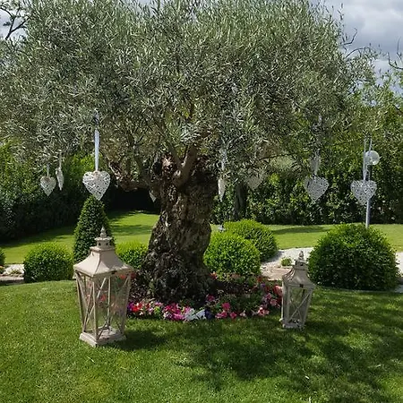 לינה וארוחת בוקר Sant'alessandro רומא