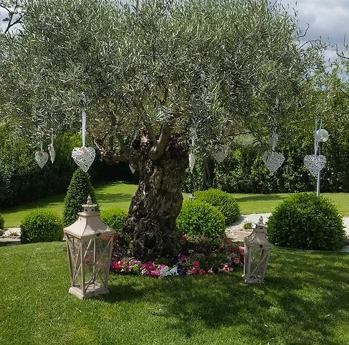 Bed & Breakfast Sant'alessandro Roma