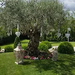 Couette-café Sant'alessandro Rome
